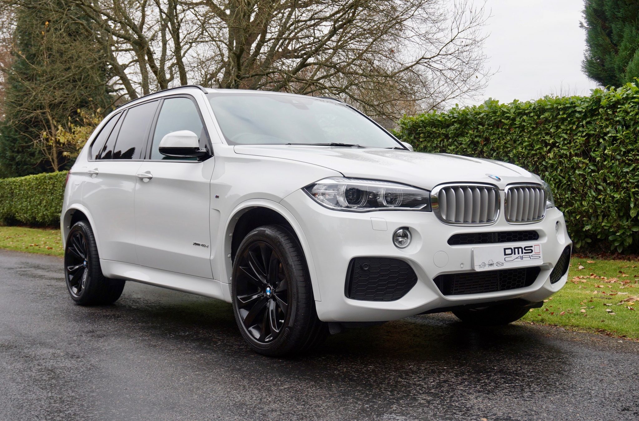 BMW X5 xDrive40d M Sport (7S) DMS Cars