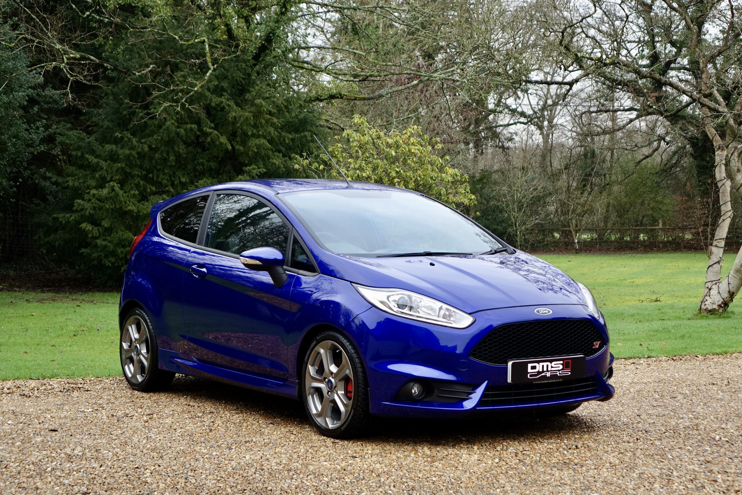 Ford Fiesta 1.6 EcoBoost ST-2 Mountune | DMS Cars